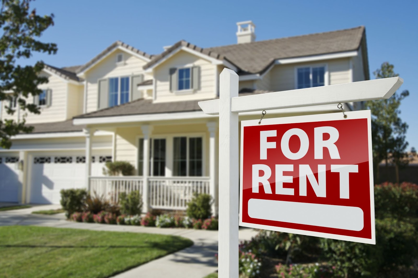 Navigating Rental Property Investment